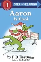 Aaron je cool - Aaron Is Cool