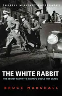 Biely králik - White Rabbit