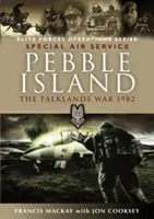 Kamienkový ostrov: Falklandská vojna 1982 - Pebble Island: The Falklands War 1982