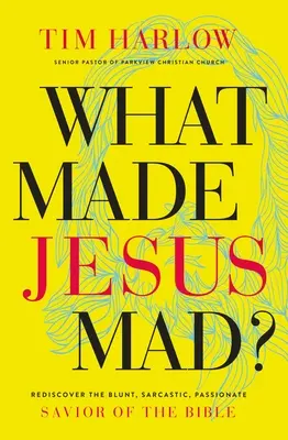 Čo rozzúrilo Ježiša?*: Znovu objavte nekompromisného, sarkastického a vášnivého Spasiteľa z Biblie - What Made Jesus Mad?*: Rediscover the Blunt, Sarcastic, Passionate Savior of the Bible