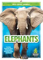 Slony - Elephants