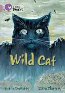 Divoká mačka - Wild Cat