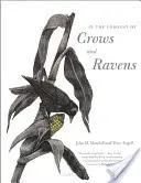 V spoločnosti vrán a havranov - In the Company of Crows and Ravens