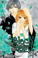 Čierny vták, zväzok 7 - Black Bird, Volume 7