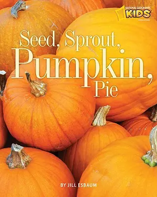 Semienka, klíčky, tekvičky, koláče - Seed, Sprout, Pumpkin, Pie