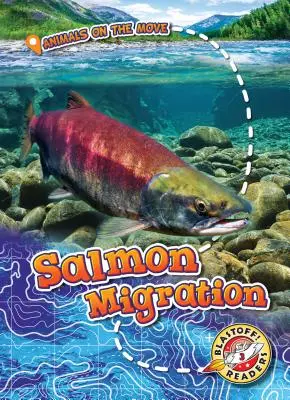 Migrácia lososov - Salmon Migration