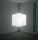 Fenomenálne: Svetlo, priestor, povrch - Phenomenal: California Light, Space, Surface