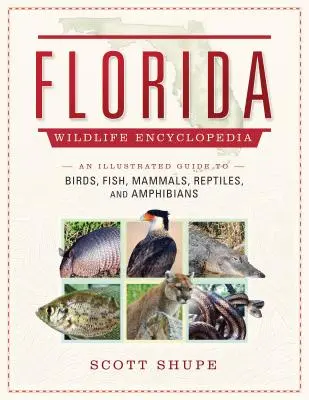 Encyklopédia divokej prírody Floridy: Ilustrovaný sprievodca vtákmi, rybami, cicavcami, plazmi a obojživelníkmi - Florida Wildlife Encyclopedia: An Illustrated Guide to Birds, Fish, Mammals, Reptiles, and Amphibians