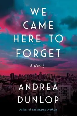 Prišli sme sem zabudnúť - román - We Came Here to Forget - A Novel