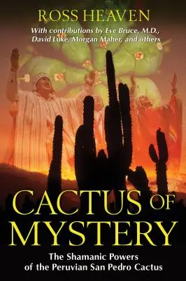 Kaktusy tajomstva: Šamanské sily peruánskeho kaktusu San Pedro - Cactus of Mystery: The Shamanic Powers of the Peruvian San Pedro Cactus