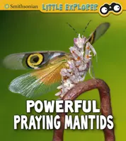 Mocné modlivky - Powerful Praying Mantises