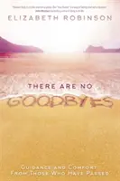Neexistujú žiadne rozlúčky - Návod a útecha od tých, ktorí odišli - There Are No Goodbyes - Guidance and Comfort From Those Who Have Passed