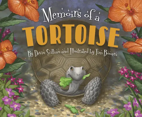 Spomienky korytnačky - Memoirs of a Tortoise