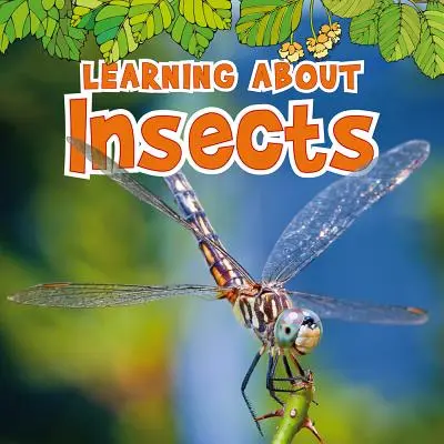 Poznávanie hmyzu - Learning about Insects