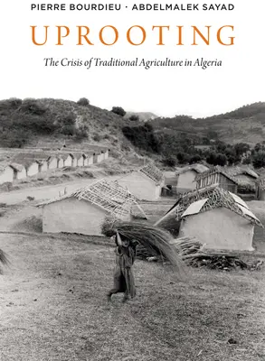 Vykorenenie: Kríza tradičného poľnohospodárstva v Alžírsku - Uprooting: The Crisis of Traditional Algriculture in Algeria