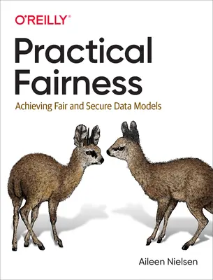 Praktická spravodlivosť: Dosahovanie spravodlivých a bezpečných dátových modelov - Practical Fairness: Achieving Fair and Secure Data Models