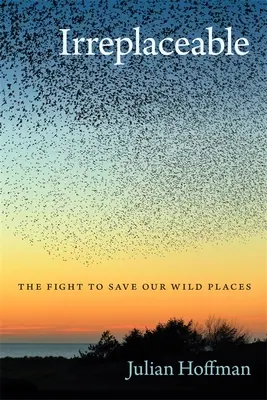 Nenahraditeľní: Boj za záchranu našich divokých miest - Irreplaceable: The Fight to Save Our Wild Places