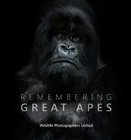 Spomienka na veľké opice - Remembering Great Apes