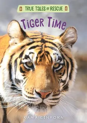 Čas tigrov - Tiger Time