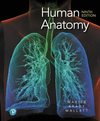 Anatómia človeka - Human Anatomy