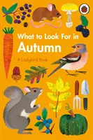 Čo hľadať na jeseň - What to Look For in Autumn