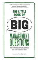 Malá kniha veľkých manažérskych otázok - 76 najdôležitejších otázok a ako na ne odpovedať - Little Book of Big Management Questions - The 76 most important questions and how to answer them