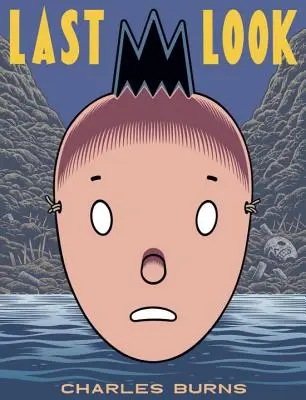 Posledný pohľad - Last Look