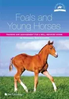 Žriebätká a mladé kone: Výcvik a manažment dobre vychovaných koní - Foals and Young Horses: Training and Management for a Well-Behaved Horse
