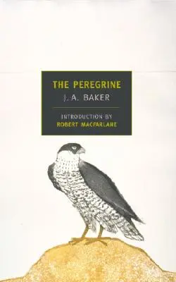 Sokol sťahovavý - The Peregrine