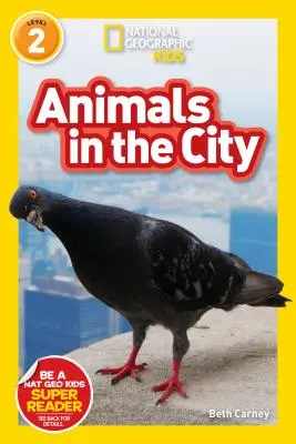 National Geographic Readers: Zvířatá v meste (L2) - National Geographic Readers: Animals in the City (L2)