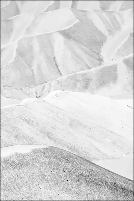 Koňská hlava: Frederik Buyckx - Horse Head: Frederik Buyckx