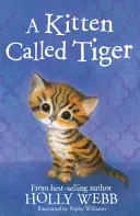 Mačiatko menom Tiger - Kitten Called Tiger
