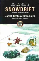 Ako Boh použil snehovú nádielku - How God Used a Snowdrift