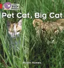 Domáca mačka, veľká mačka - Pet Cat, Big Cat