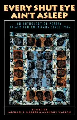 Každé zatvorené oko nespí: Antológia poézie Afroameričanov od roku 1945 - Every Shut Eye Ain't Asleep: An Anthology of Poetry by African Americans Since 1945