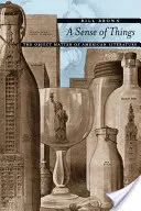 Zmysel vecí: Vecný predmet americkej literatúry - A Sense of Things: The Object Matter of American Literature