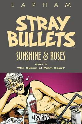 Zatúlané guľky: Slnečný svit a ruže, 3. zväzok - Stray Bullets: Sunshine & Roses Volume 3