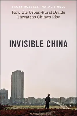 Neviditeľná Čína: Ako rozdiely medzi mestami a vidiekom ohrozujú vzostup Číny - Invisible China: How the Urban-Rural Divide Threatens China's Rise