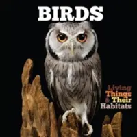 Vtáky - Birds