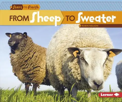 Od ovce k svetru - From Sheep to Sweater