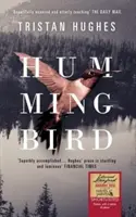 Kolibrík - Hummingbird
