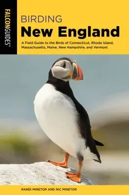 Vtáctvo Nového Anglicka: A Field Guide to the Birds of Connecticut, Rhode Island, Massachusetts, Maine, New Hampshire, and Vermont - Birding New England: A Field Guide to the Birds of Connecticut, Rhode Island, Massachusetts, Maine, New Hampshire, and Vermont