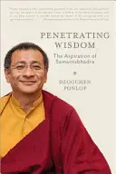 Prenikavá múdrosť: Aspirácia Samantabhadra - Penetrating Wisdom: The Aspiration of Samantabhadra