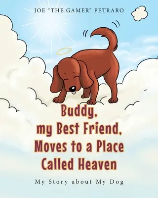 Buddy, môj najlepší priateľ, sa presťahuje na miesto zvané nebo: Moje rozprávanie o mojom psovi - Buddy, my Best Friend, Moves to a Place Called Heaven: My Story about My Dog