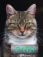 Mačky - Cats