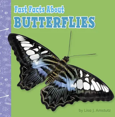Rýchle fakty o motýľoch - Fast Facts about Butterflies