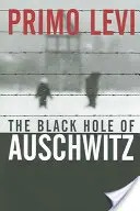 Čierna diera v Osvienčime - The Black Hole of Auschwitz