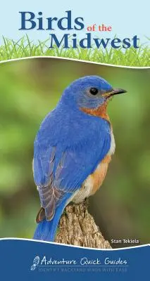 Vtáky stredozápadu: Určovanie vtákov na dvore s ľahkosťou - Birds of the Midwest: Identify Backyard Birds with Ease