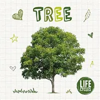 Životný cyklus stromu - Life Cycle of a Tree