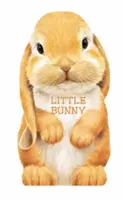 Malý zajačik - Little Bunny